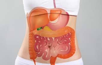 Departamentul European de Sănătate